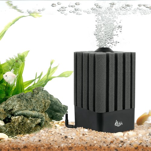 Aqqa filtro spugna per - in,
