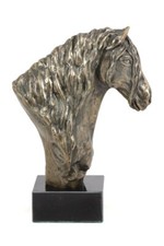 Cavallo Frisone I Testa Di