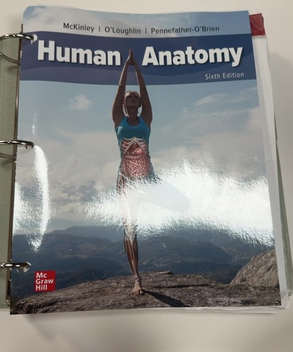 Loose leaf for - loose, human