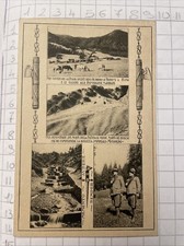 Cartolina CC.NN. Milizia Nazionale  Forestale III Legione Ramazzotti Borno Viagg