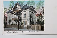 2233 AK Dresda Cervo Bianco