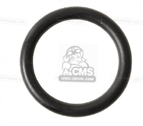 Ring supporto motore - o-ring,
