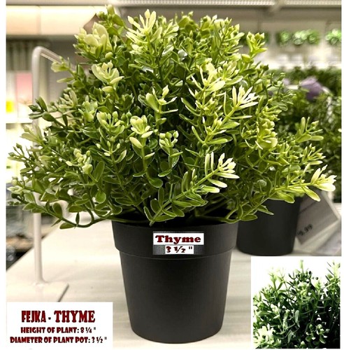 Ikea fejka pianta - ikea,