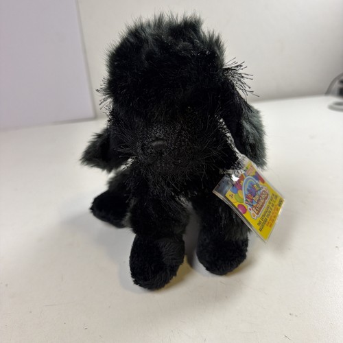 Barboncino nero webkinz day - barboncino,