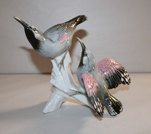 Grand groupe couple - , d'oiseaux
