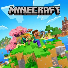 Minecraft + DLC - Servizio