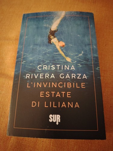 Sur rivera garza - rivera,