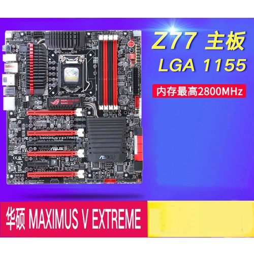 Per asus maximus gene - asus, v