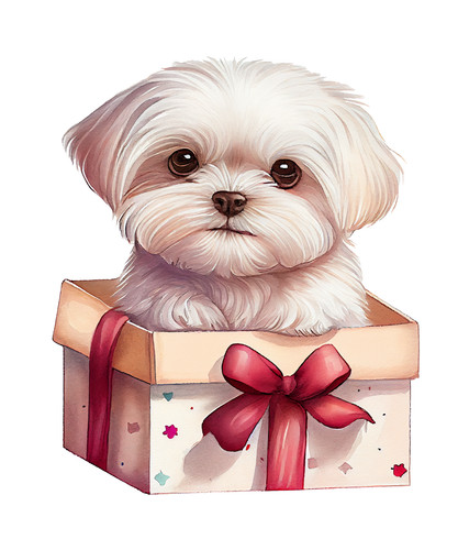 Adesivo auto maltese - , cani