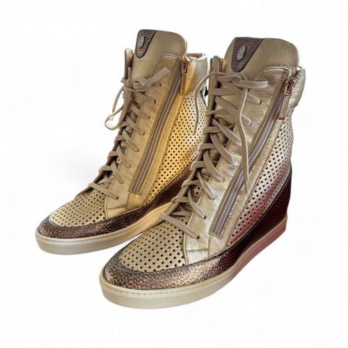 Roberto botticelli limited - roberto,