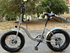 bicicletta pieghevole 