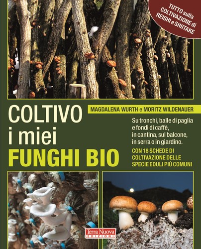 Coltivo miei funghi bio - coltivo,