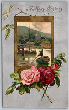 Buon Natale, rose, scena