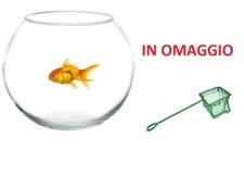 AMPOLLA BOCCIA BOLLA ACQUARIO