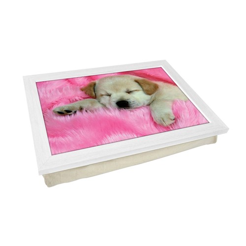 Nuovo regalo per laptop con