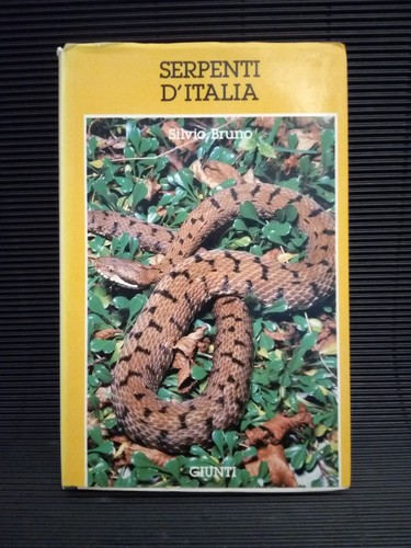 Serpenti italia silvio - d'italia,
