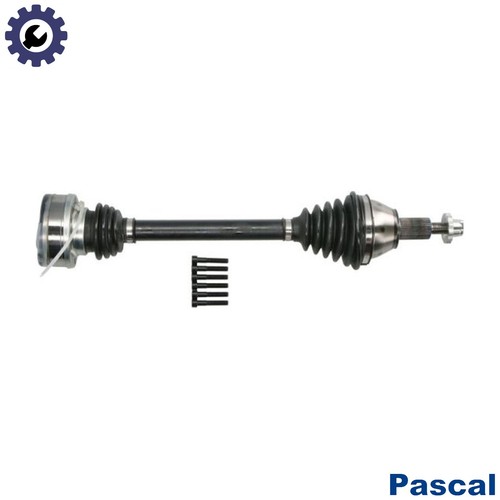 Albero trasmissione - di,