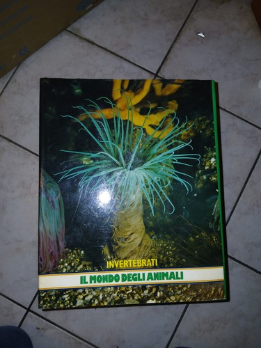 Enciclopedia completa il - completa, "il