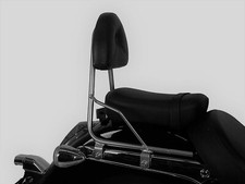 Honda VT750 Shadow Sissybar -