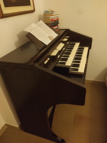Organo elettronico - organo,