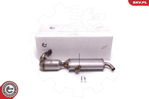 Catalizzatore esen skv - catalizzatore,
