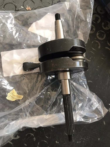 Albero motore rms - albero, 100010320