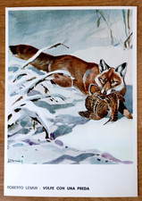 CARTOLINA VOLPE CON UNA PREDA CACCIA ROBERTO LEMMI EDITORIALE OLIMPIA