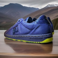 2007 DC Shoes Striker TE Model