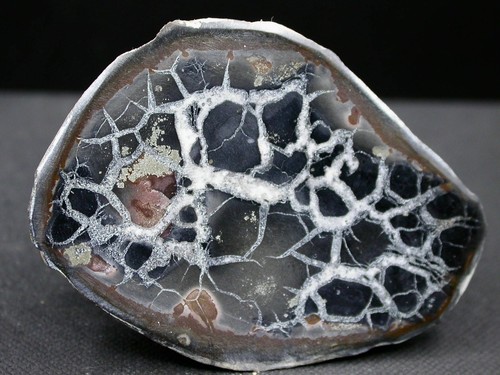 Septaria maroc 5 x - septaria,