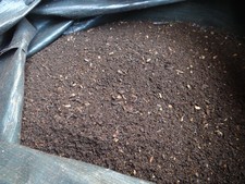 compost fertilizzante