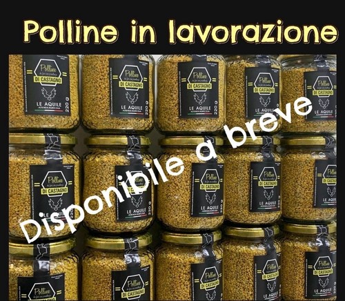 Polline api castagno - di,