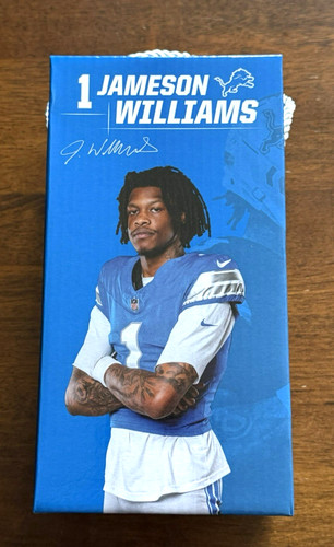 Jameson williams detroit - detroit, lions