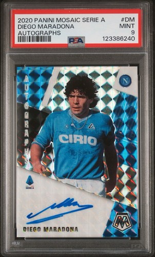 Diego armando maradona psa9 - armando,