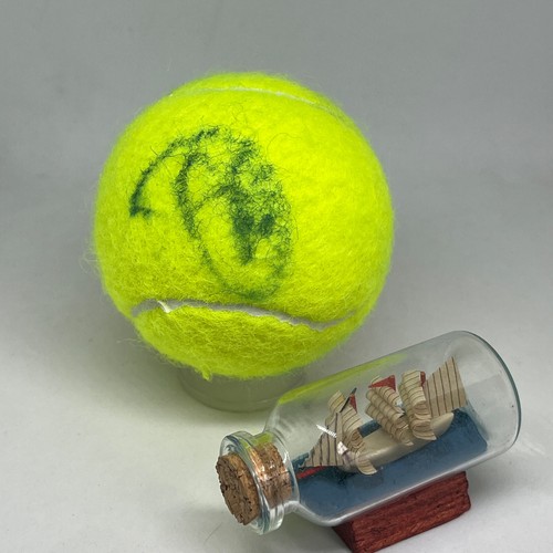 Novak djokovic firmata wilson - novak,