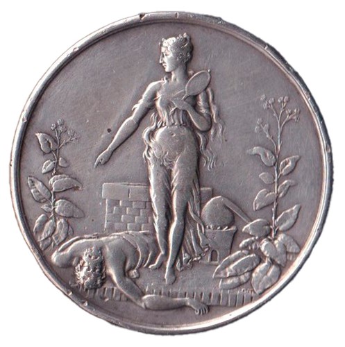 Medaglia contro abuso del - medaglia,