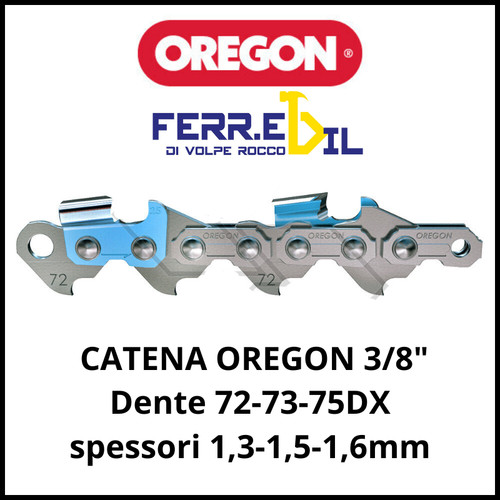 Oregon catena motosega - catena,