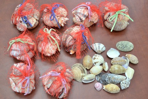 Assortimento mix conchiglia - assortimento,