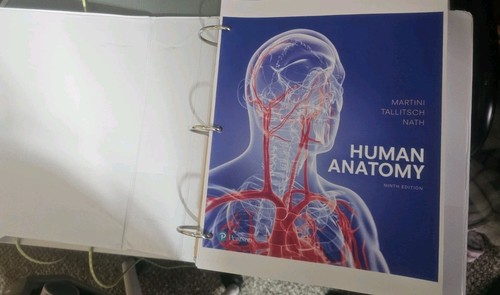 Human anatomy martini - human, by