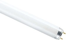 Tubo NEON fluorescente 60cm