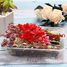 Fioriera secca naturale lunga