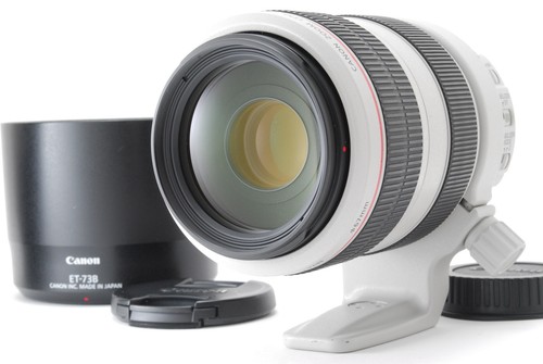 Canon 300mm 5 6l - canon, ef