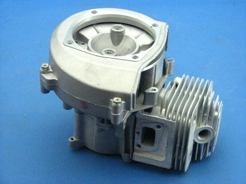 Motore scoppio berlan - a,