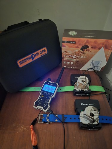 Beeper cani caccia - cani, da