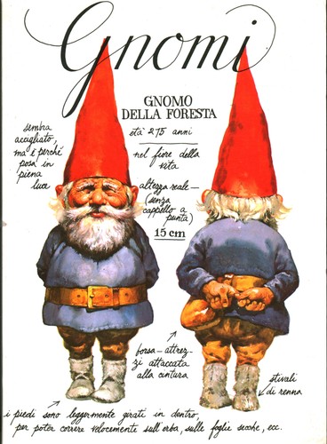 Gnomi wil huygen - gnomi,