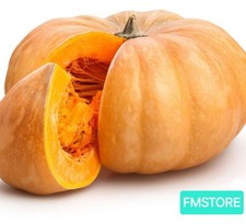25 semi Zucca Siciliana Dolce