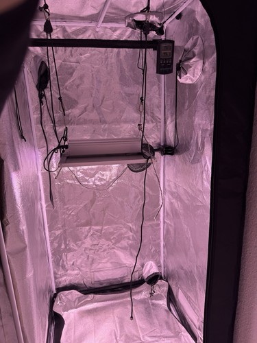 Growbox set completo - growbox,