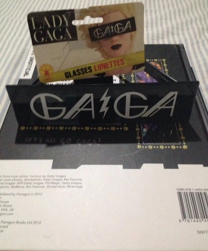 The world lady gaga book - world,