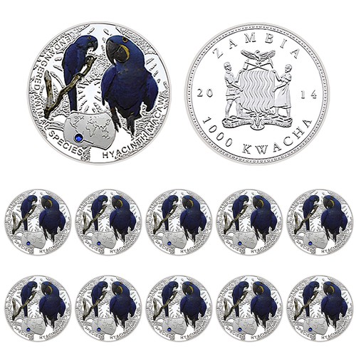 10pcs hyacinth macaw silver - 10pcs,