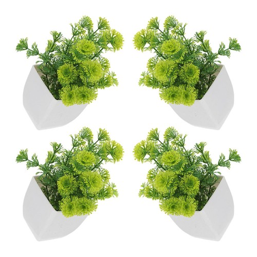 Vaso per piante verdi - , 4