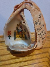 Conchiglia conchiglia